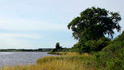 slocums river reserve