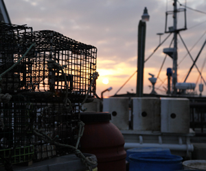 lobster traps westport
