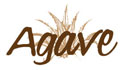 agave