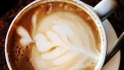 beach plum bakery cafe
