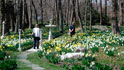 blithewold mansion gardens arboretum
