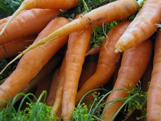 brix bounty farm