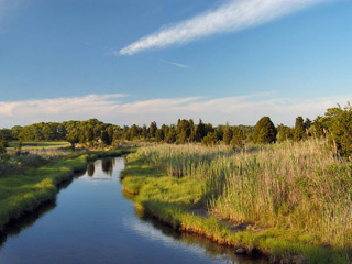 demarest lloyd state park