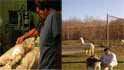 fall river animal hospital