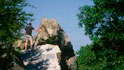 freetown state forest
