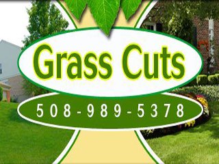 grass cuts 