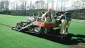 grass cuts 