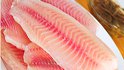 higson seafood