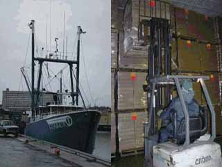maritime international inc