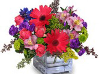 middleborough flowers gifts