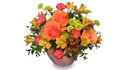 middleborough flowers gifts