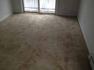new bedford tile carpet