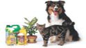 north paws veterinary center