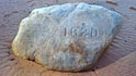 plymouth rock