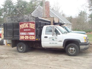 pontiac tree service