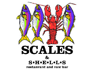 scales shells