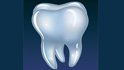 steinhof dental clinic