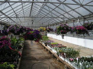 sylvan nursery