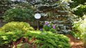wareham garden club