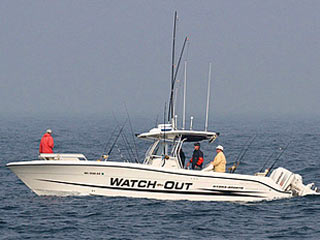 watch out fishing charters
