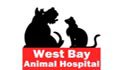 west bay animal hospital