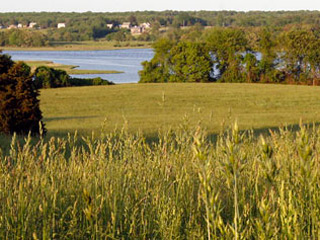 westport town farm